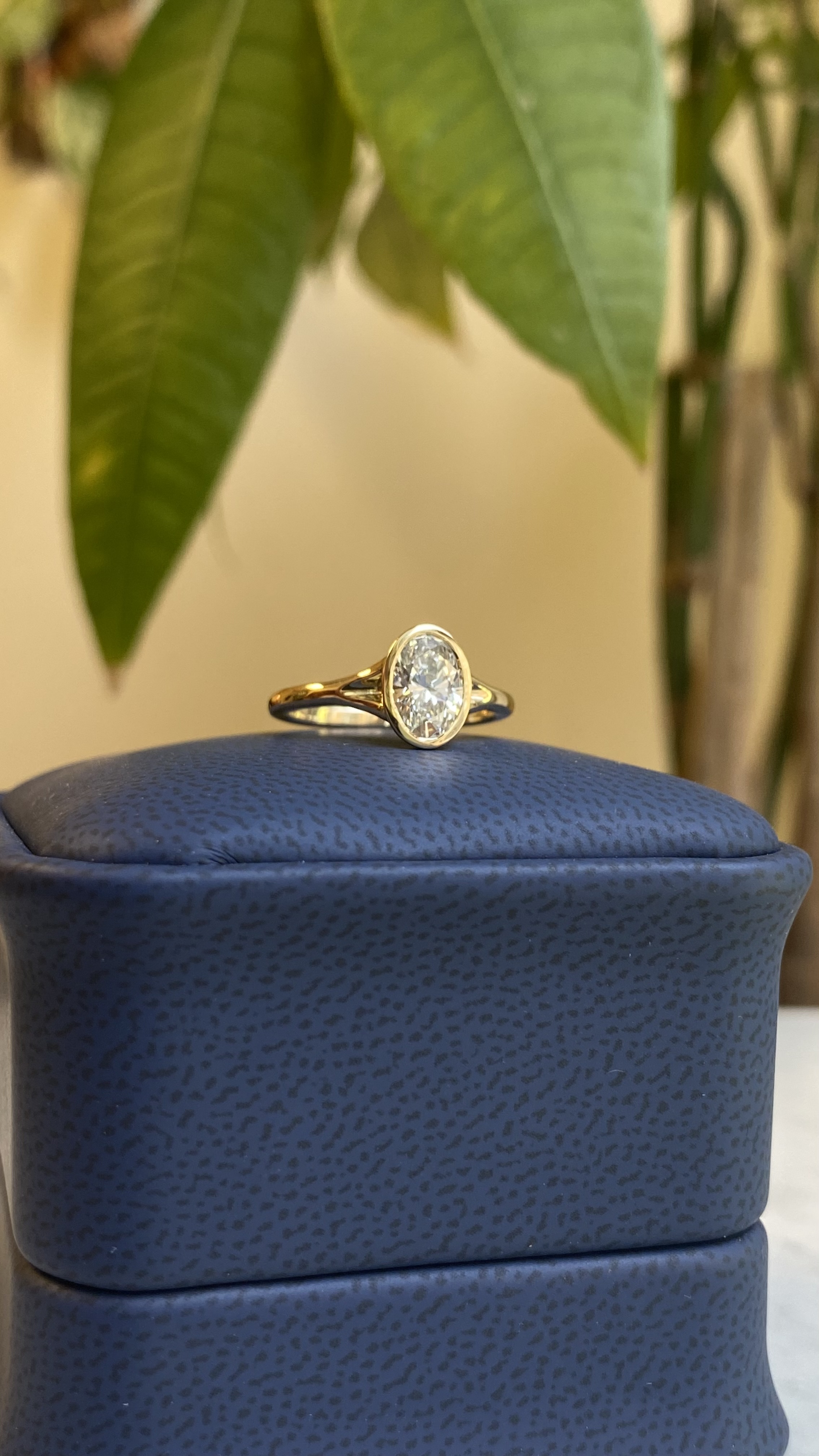 1ct oval diamond thin bezel split shank yellow gold engagement ring on ring box with leaves in background — Bear Goldsmithing Toronto